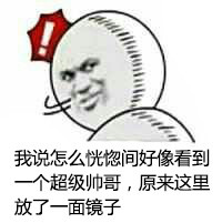 刚才没注意到，用户提供的是完整的表情包网站页面源码，核心内容是一组以“我说怎么恍惚间好像看到一个超级帅哥，原来放了一面镜子”为主题的金馆长无节操表情包。现在按照要求重写：