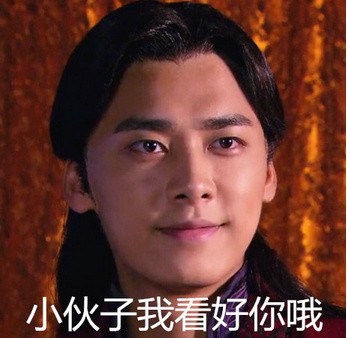 聊天斗图必备！李易峰专属表情包合集