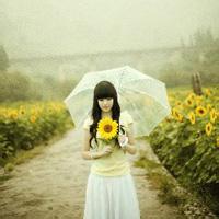 女生向日葵头像 32张清新森系氛围感美图合集