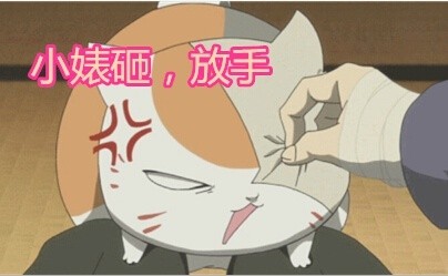 猫咪老师的可爱表情包来啦