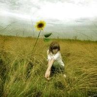 女生向日葵头像 32张清新森系氛围感美图合集