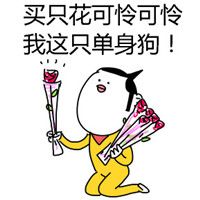 热门单身狗表情包合集