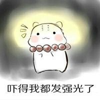 救命！这套仓鼠吓傻表情包太戳人了