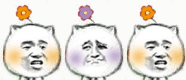猥琐猫带小花的表情包合集
