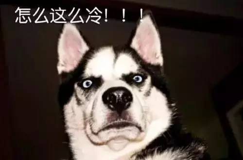 最强冷空气组团来降温！冻得人只想裹紧小被子