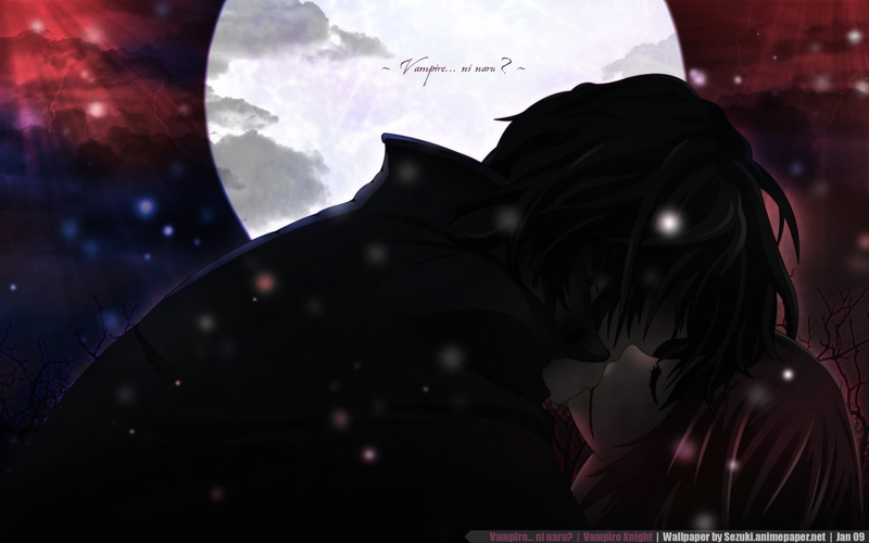 《吸血鬼骑士》绝美同人壁纸！月下拥吻的枢与优姬太好磕了