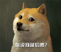 doge最新装逼表情包合集