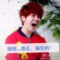 EXO版“劳资弄舍你信不信”表情包合集来了