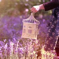 17张超治愈！带薰衣草的小姑娘女生头像合集