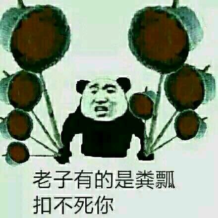 老子（劳资）一粪瓢扣死你 金馆长熊猫表情包