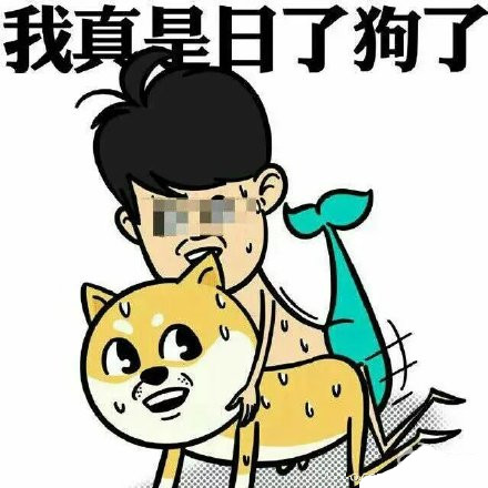 我真是日了狗了系列（三污）表情包合集