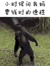 戳中无数人的“说起来都是泪”表情包合集