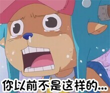 海贼王专属表情包合集，斗图必备！