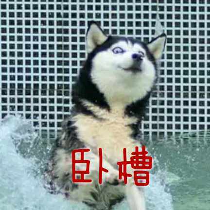 每天都被自己“遇瞎”？这套哈士奇表情包太绝了