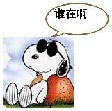 史努比小表情合集来啦