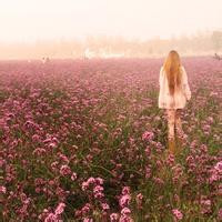 17张超治愈！带薰衣草的小姑娘女生头像合集