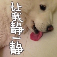 不想上班emo？这套汪星人表情包戳中打工人心声