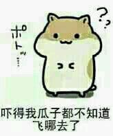 聊天斗图新宠！这套掉瓜子表情包把整活玩明白了
