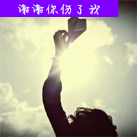 女生放纸飞机带字头像合集 18张唯美治愈款分享