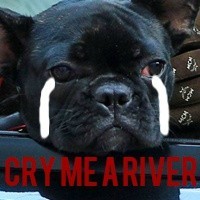 单身狗专属！这套英文版表情包太适配日常吐槽