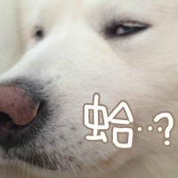 不想上班emo？这套汪星人表情包戳中打工人心声