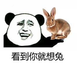 金馆长和动物的趣味表情包合集