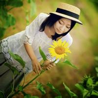 女生向日葵头像 32张清新森系氛围感美图合集
