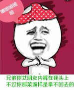 鸡配鸡鸭配鸭，这套梗表情包火了
