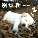 超火邀约表情包！走吧！去我家！