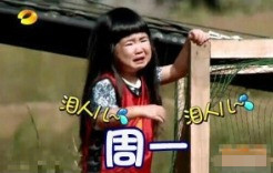 打工人必备！姐姐版一周心情表情包合集