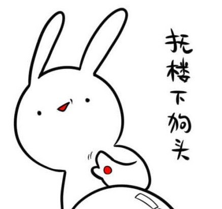 「不约，同志我不约」兔子无节操表情包合集