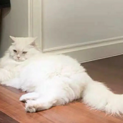 14张超可爱“对象不是人”情头！玩网党必存的高清好看情侣头像