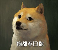 doge最新装逼表情包合集