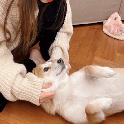 14张超可爱“对象不是人”情头！玩网党必存的高清好看情侣头像