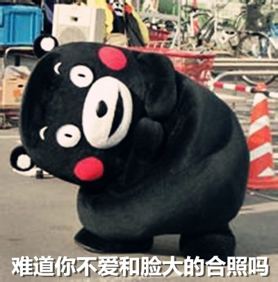 熊本熊搞笑脸大表情包来啦！劳资就是脸大怎么了？