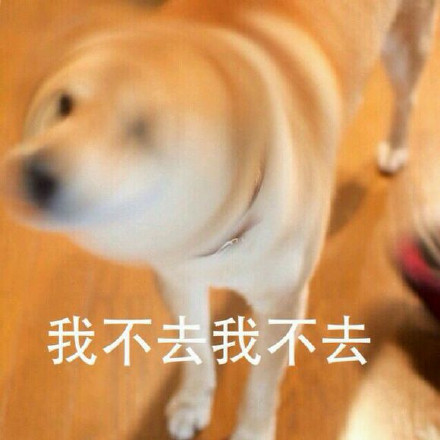 这套Doge内心戏表情包，简直是当代年轻人嘴替