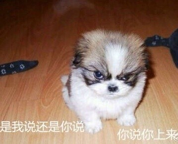 当年高中老师的口头禅，你还记得几句？