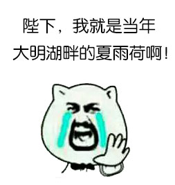 用《还珠》梗整活的搞笑表情包合集来了