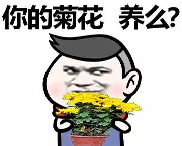 火出圈的“万水千山总是情 一宿两百行不行”表情包到底啥来头？