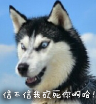 doge表情包又双叒叕来啦