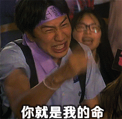 聊天斗图必备！超好用的夸张动态表情包合集