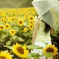 女生向日葵头像 32张清新森系氛围感美图合集