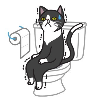 这款孤单黑猫表情包，戳中多少人的独处心事