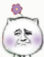 猥琐猫带小花的表情包合集