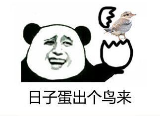 金馆长和动物的趣味表情包合集