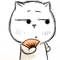 热门猥琐猫斗图表情合集
