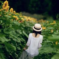 女生向日葵头像 32张清新森系氛围感美图合集