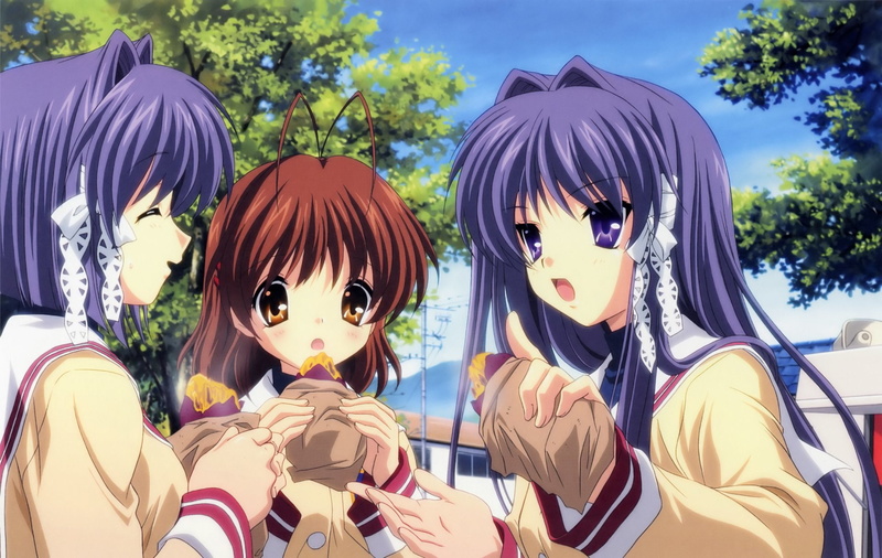 《CLANNAD》高清壁纸合集 古河渚 藤林姐妹登场