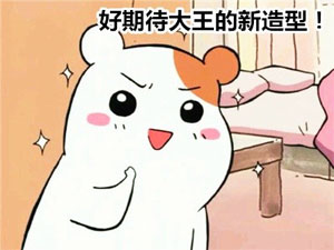不娶我为啥耽误我？看家鼠仓鼠管家这套表情包火了