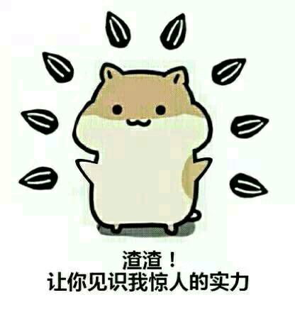 爱嗑瓜子的仓鼠表情包合集来啦